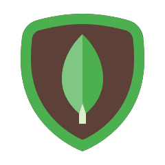 MongoDB | Future Web App